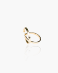 Aretes Monarca